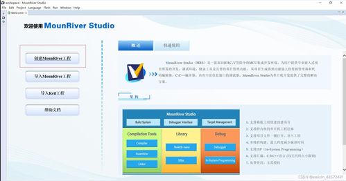 RISC-V架构与MRS开发环境在梅州软件开发中的应用与展望