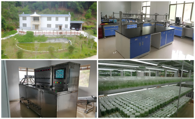 梅州市农林科学院成功申报两个省级工程技术研究中心